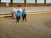 voltitag 2009 _CD2 035